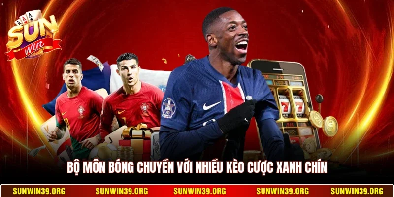 Bộ môn bóng chuyền với nhiều kèo cược xanh chín